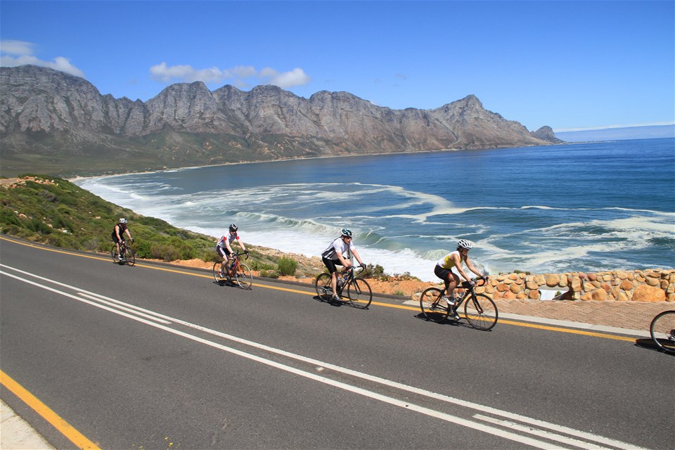 Cycling the Cape & Winelands